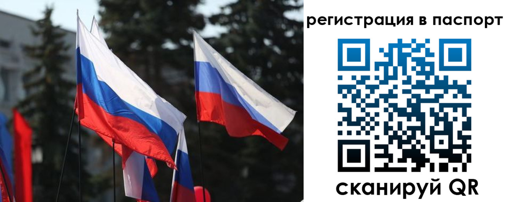 прописка штамп в Мариинском Посаде
